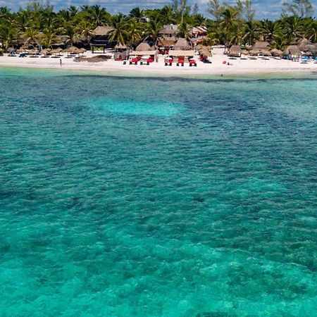 Serenity Authentic Glamping Tulum (Adults Only) スプ・ア エクステリア 写真